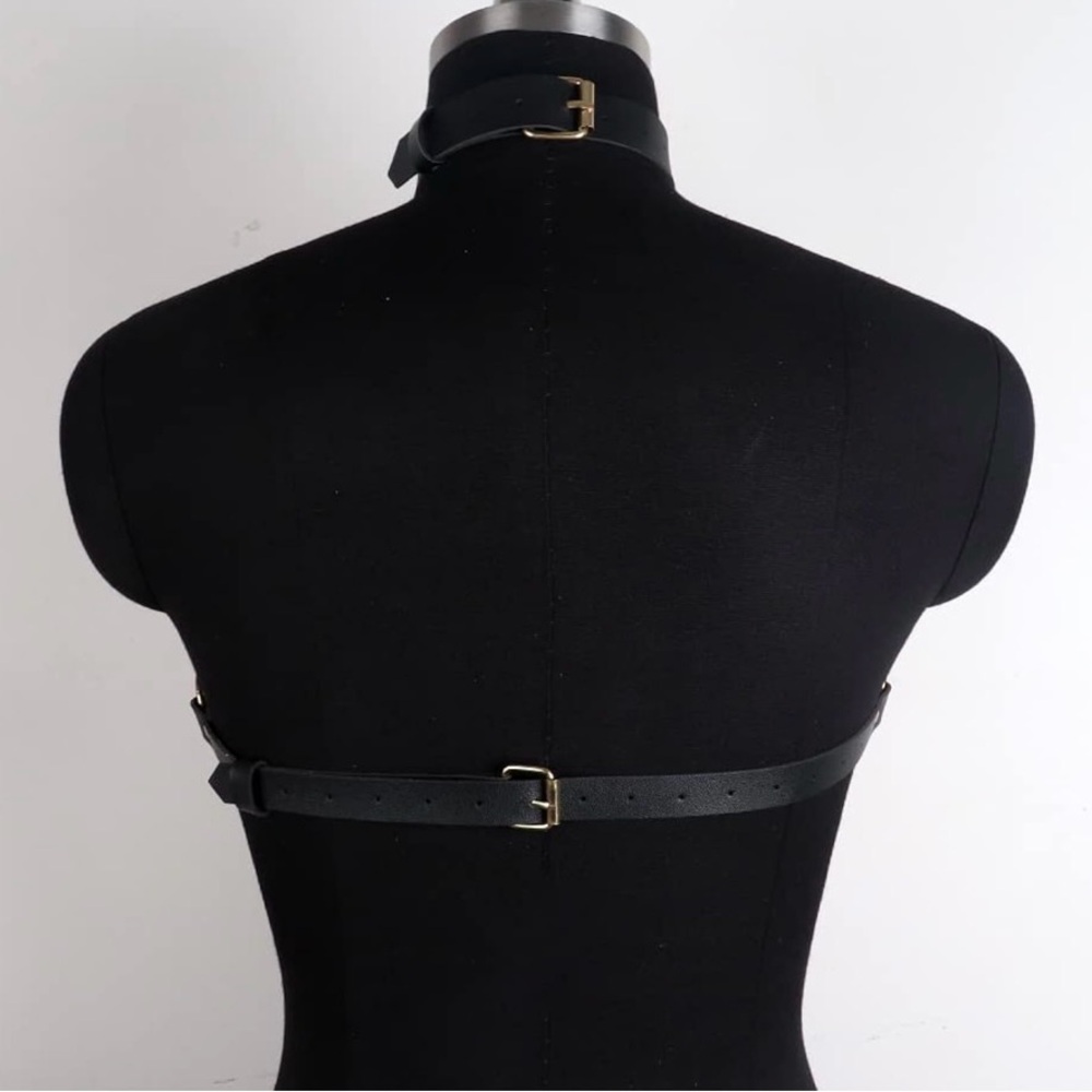 NWOT Black and Gold Chain Harness Lingerie Set - Picture 4 of 6